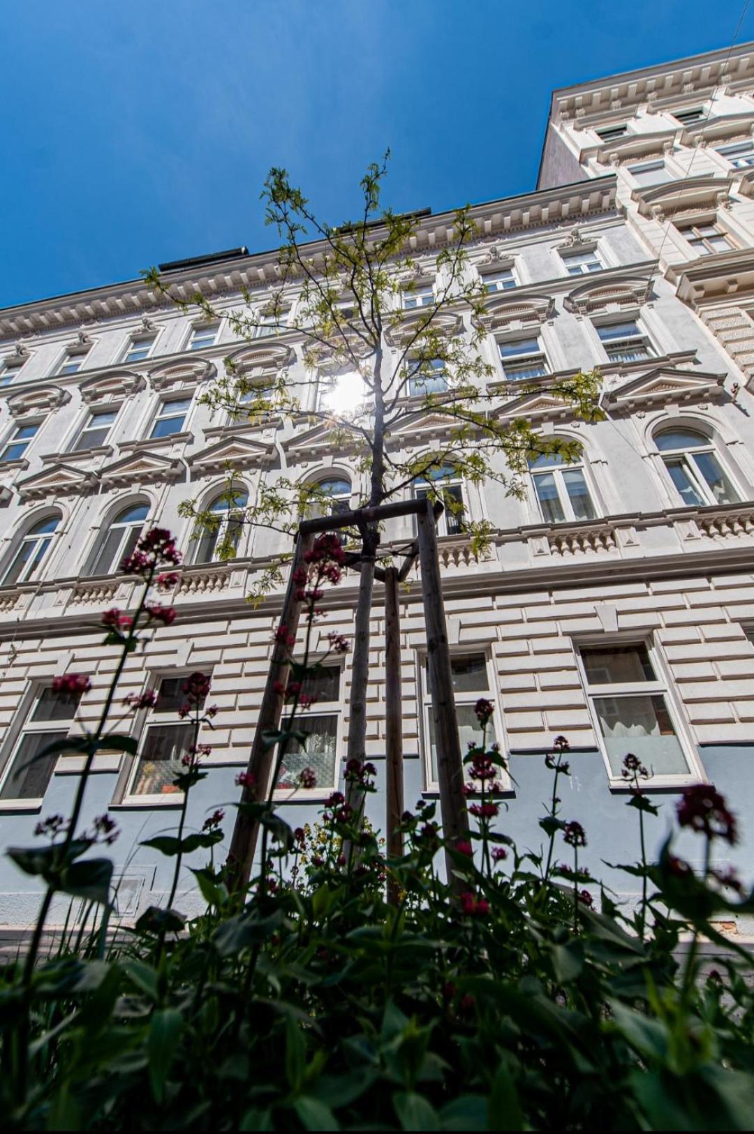 Vienna My City Apartment Garden View Exteriör bild